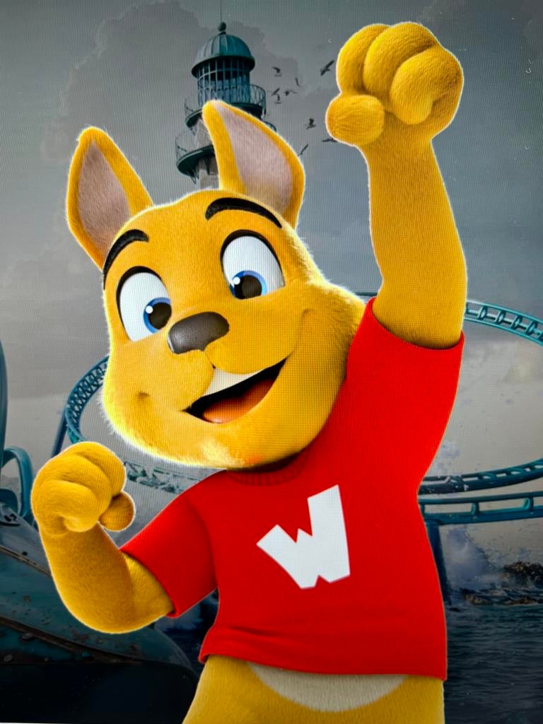 5 tickets walibi 16 mai parking inclus
