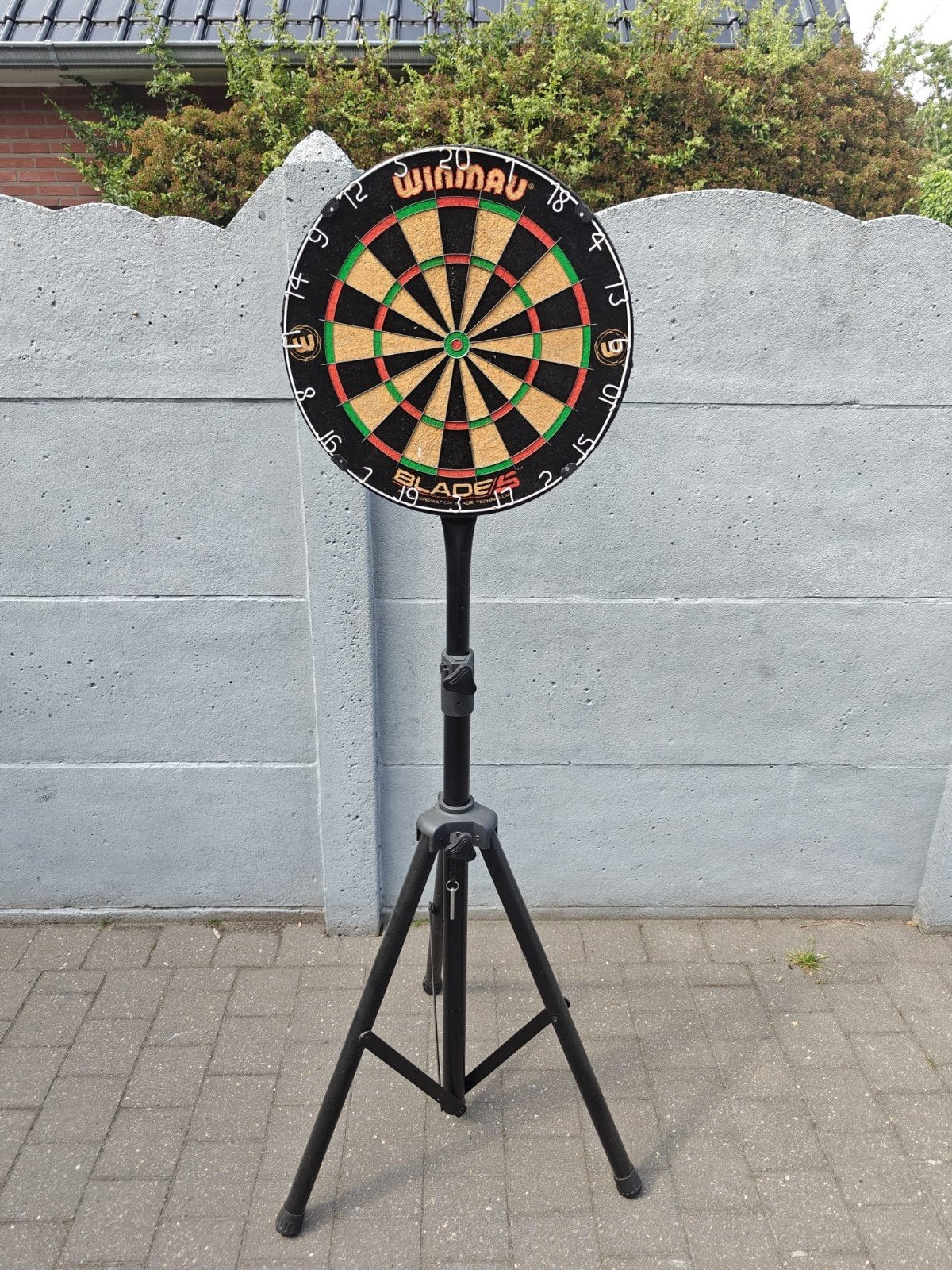 dartbord + beschermring+ standaard, Ophalen, Dartbord
