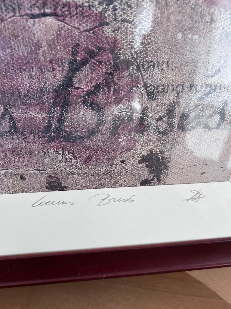 Gelimiteerde & Gesigneerde Lithografie – Natacha Pirnay, Ophalen