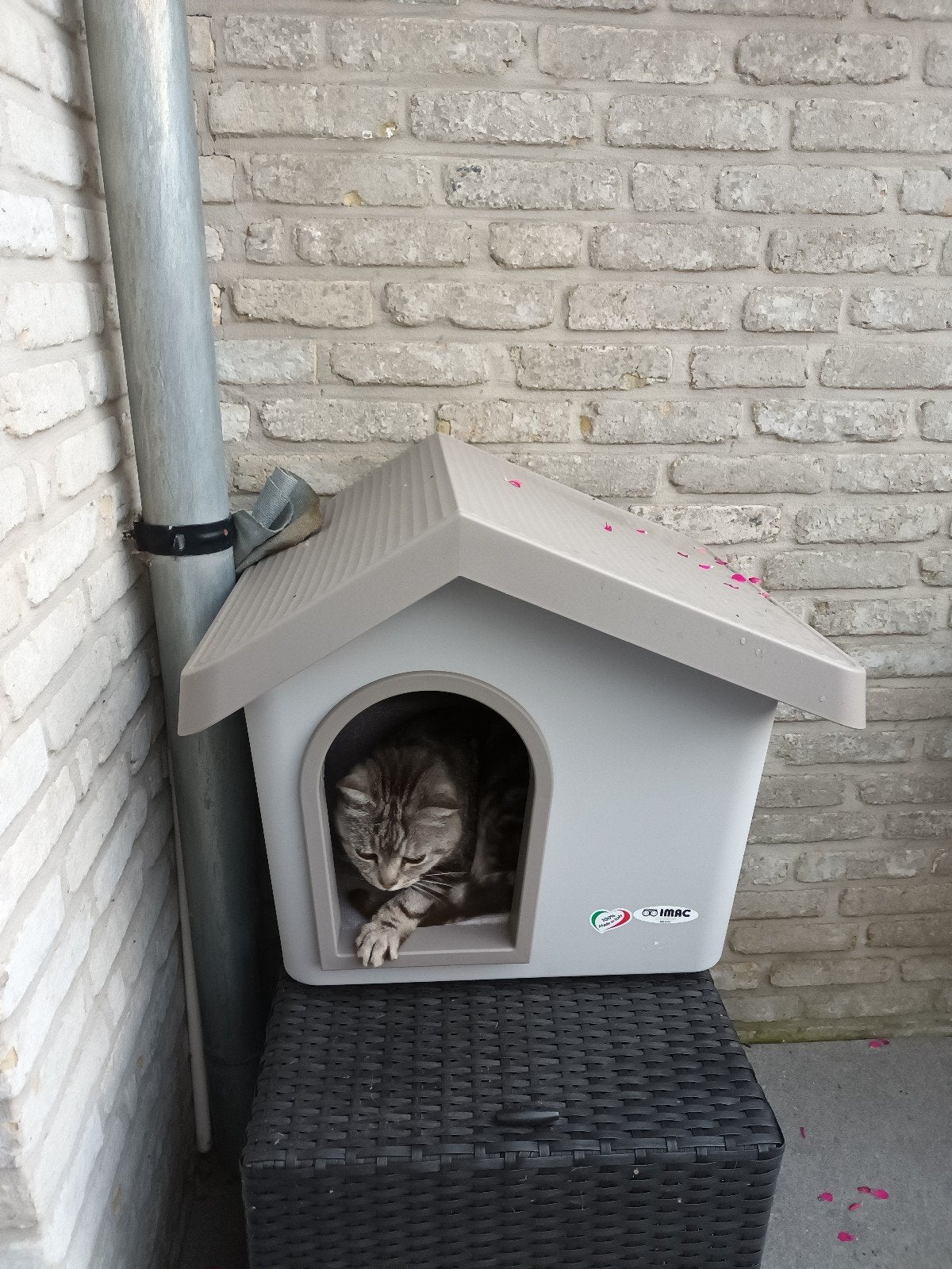 Huisje voor Kat te koop ,zeer goede staat., Enlèvement