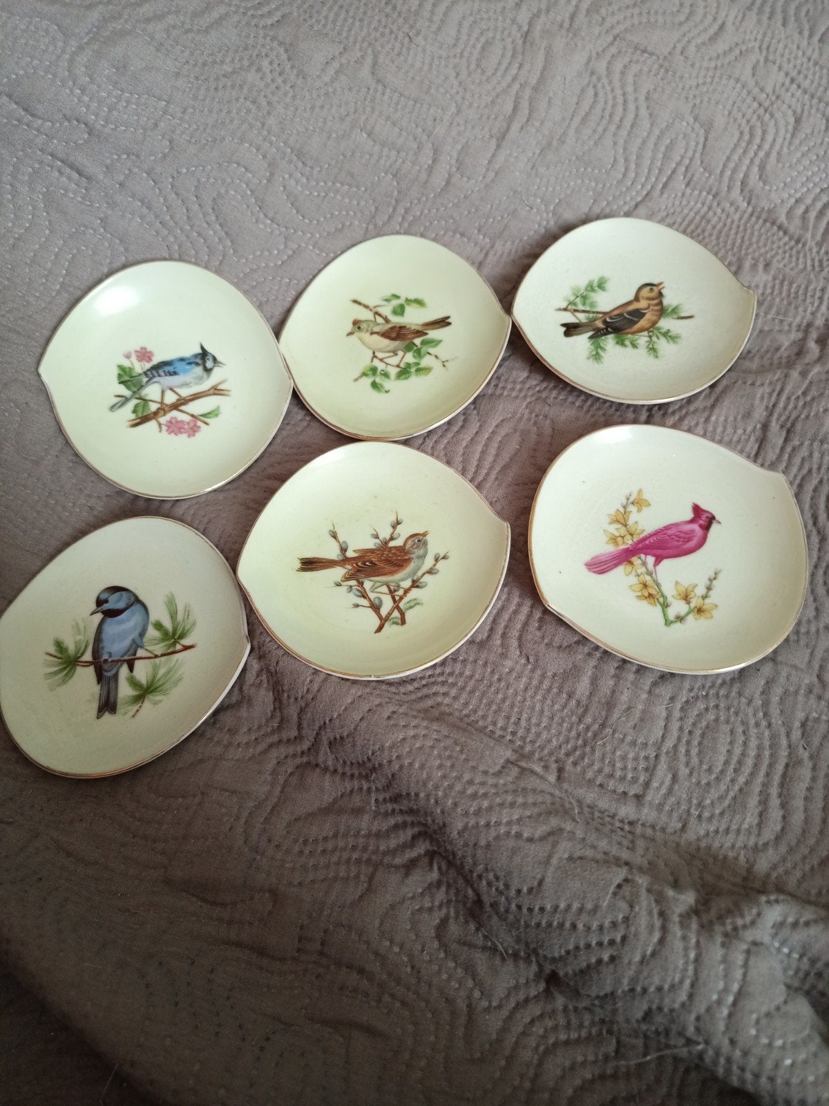 6 coupelles, Multicolore, Sous-assiette, Pierre/céramique, Utilisé