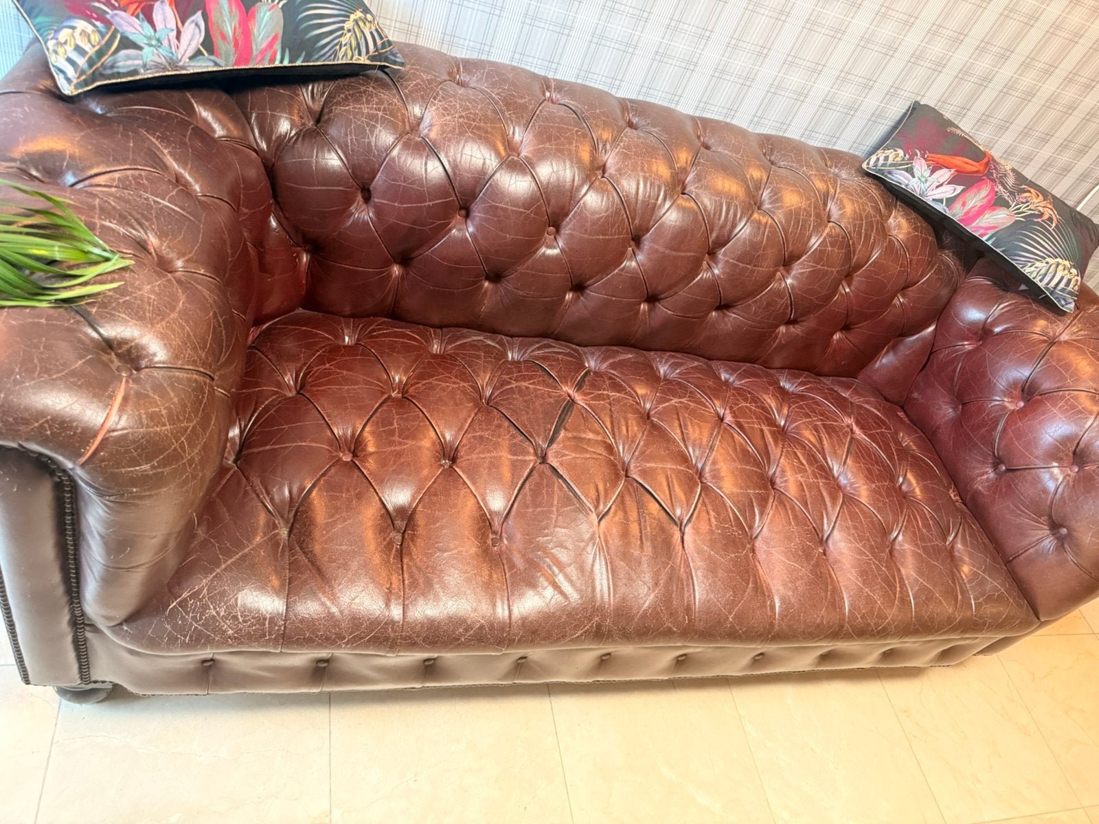 Chesterfield, Enlèvement, Utilisé, Cuir