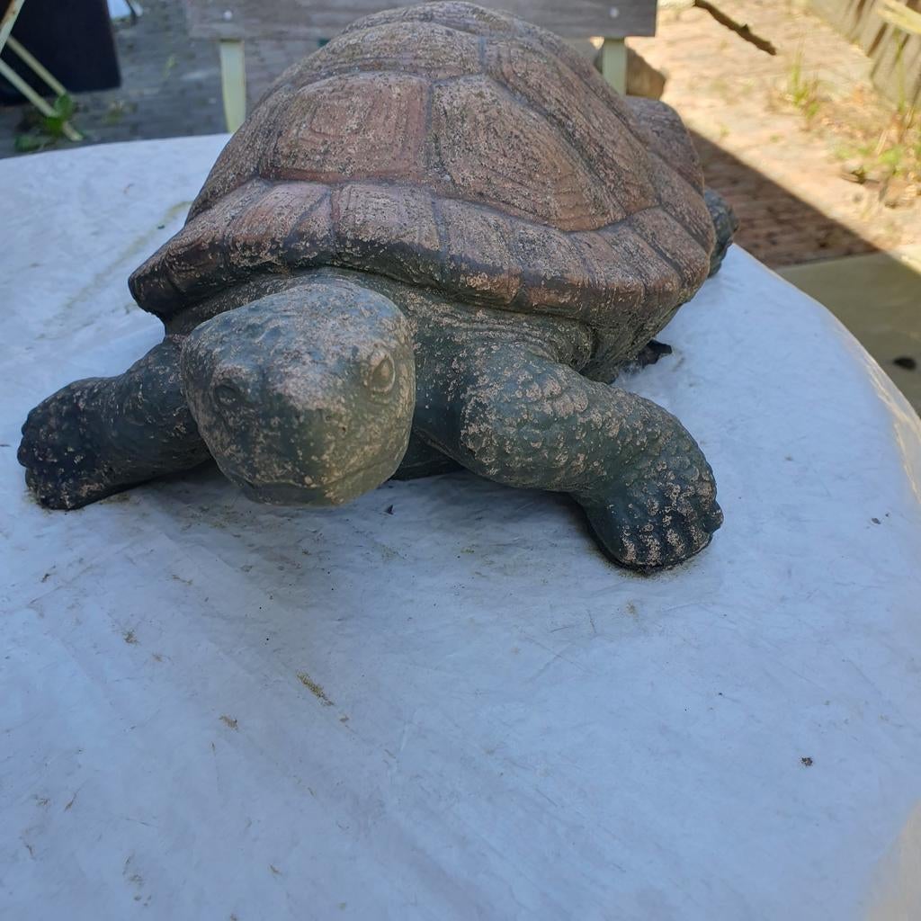 Schildpad betonnen  verweerd, Tuin en Terras, Ophalen