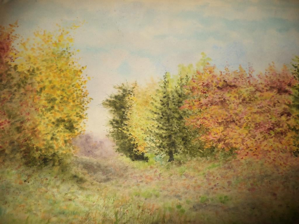 Edouard SUY 1901 3x akwarel pastel landschap oude hut, bomen, Antiek en Kunst, Ophalen of Verzenden