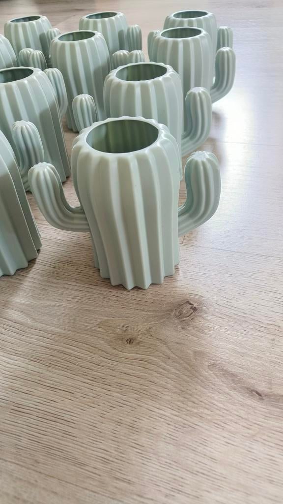 22 cactus geboorte doopsel vormsel communie crèche kado's, Hobby en Vrije tijd, Feestartikelen, Nieuw, Ophalen of Verzenden