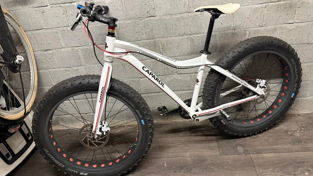 Fatbike (custom), Fietsen en Brommers, Fietsen | Mountainbikes en ATB, Gebruikt, Overige merken, Geen vering, Ophalen