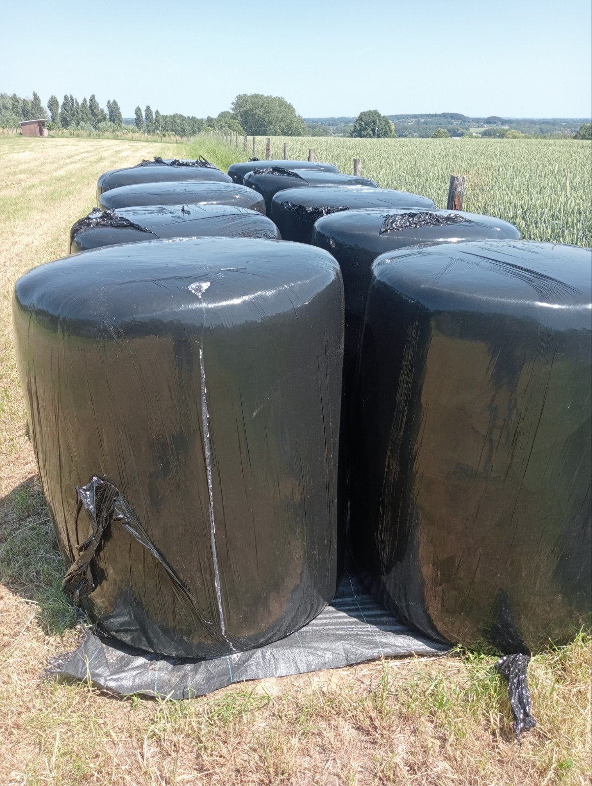 eerste snede voordroog mooi droog 8 stuks dia 1 meter, Enlèvement