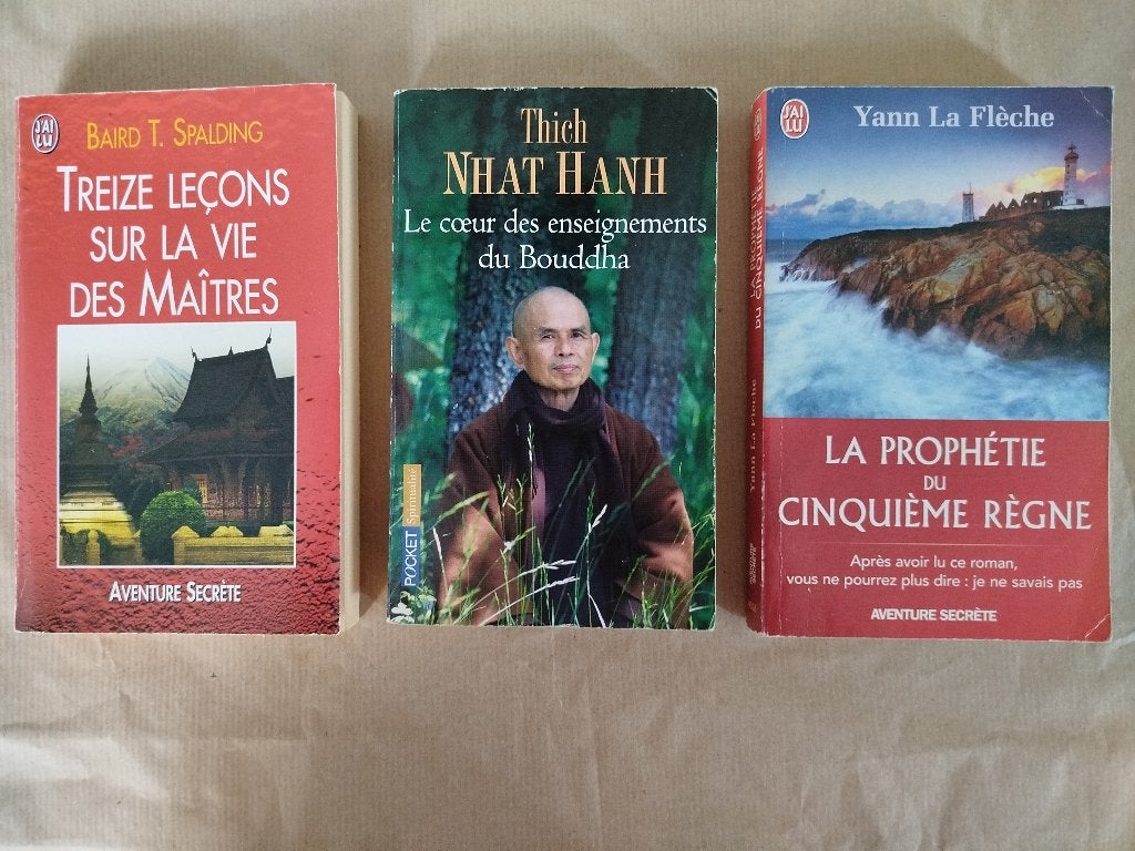 Lot de 3 livres (spiritualité), Ophalen, Gelezen