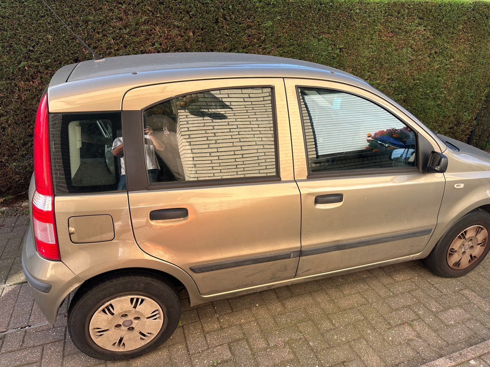Fiat Panda, Autos, Achat, Panda, Particulier, Essence
