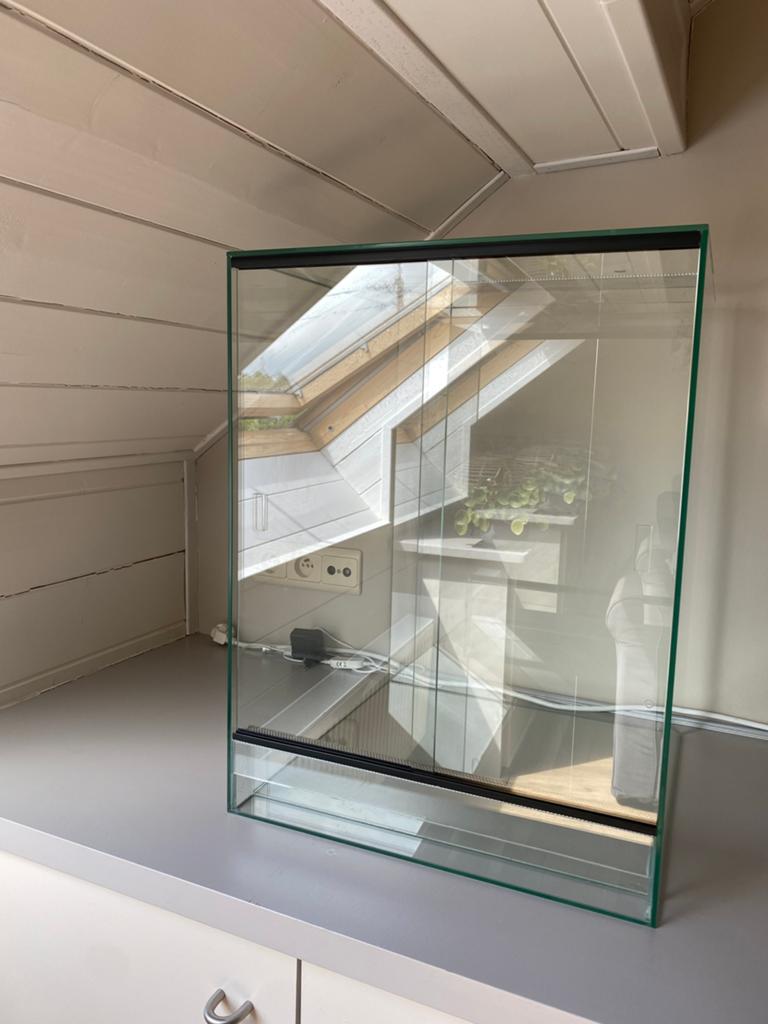 Terrarium L 45cm x B 45cm x H 60cm, Dieren en Toebehoren, Ophalen, Gebruikt, Terrarium of Paludarium