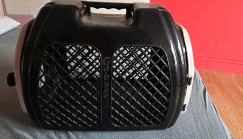 Transportbox voor kat of kleine hond, Enlèvement, Utilisé