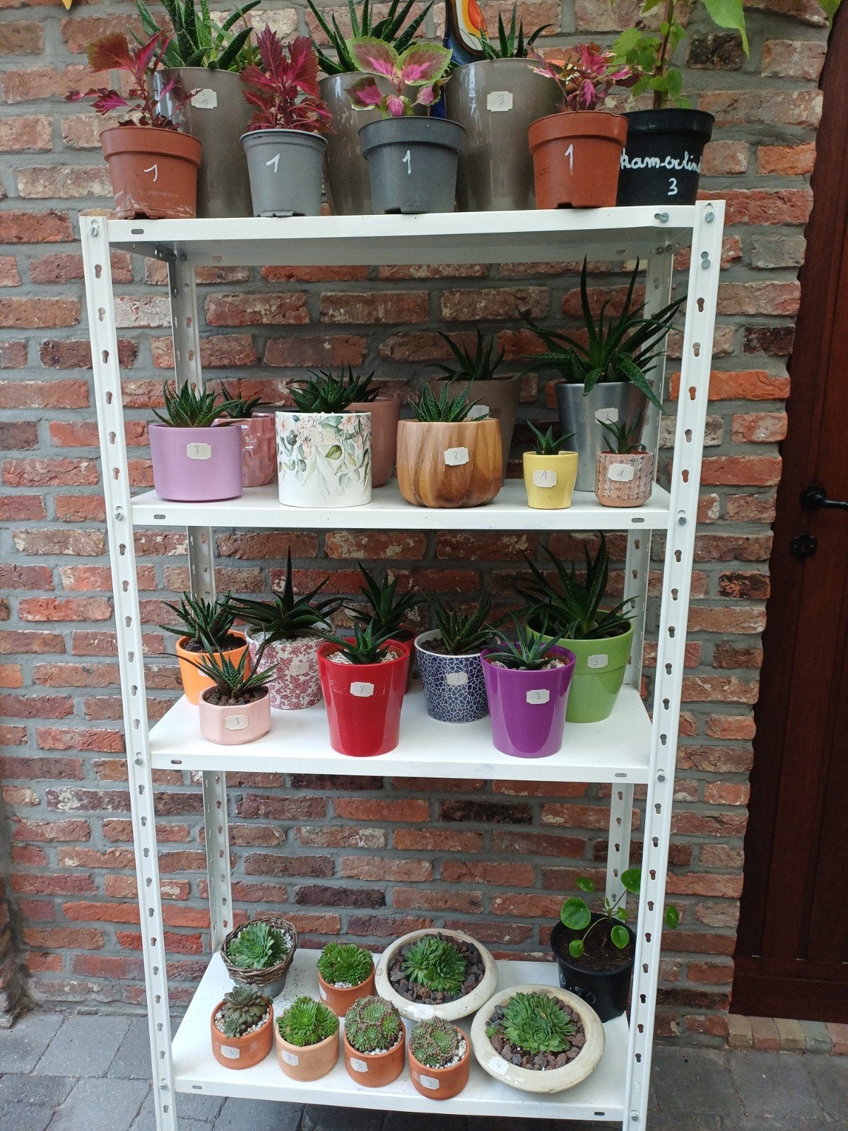 tuin en kamerplantjes, Ophalen, Zo goed als nieuw