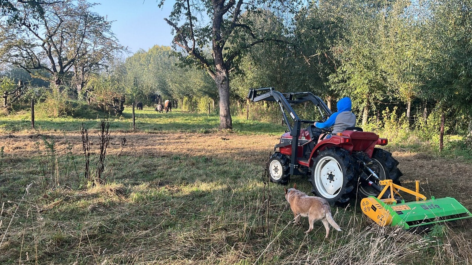 landelijke klus en dierenhulp aan huis