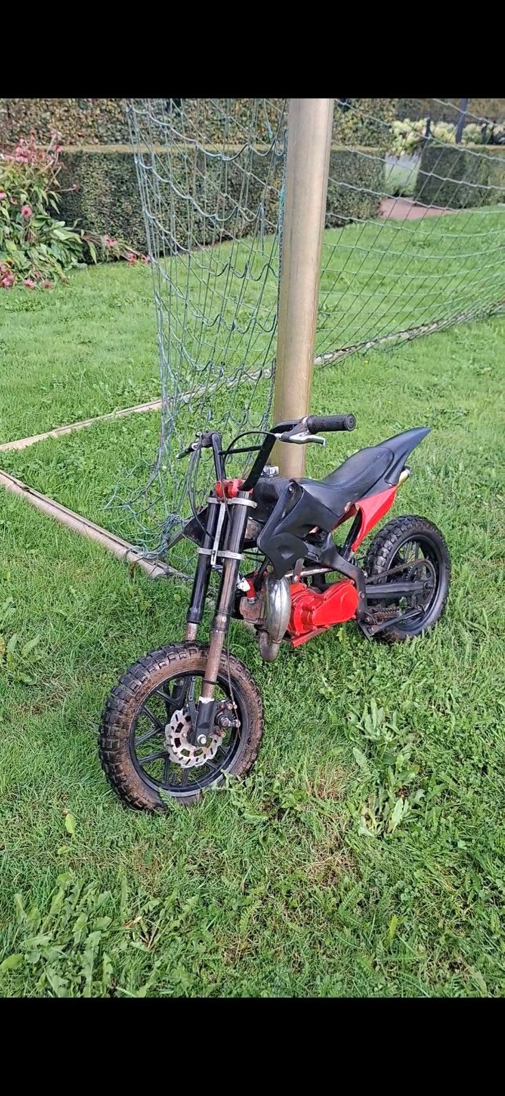 pitbike 50cc, Vélos & Vélomoteurs, Mini Bikes, Midi Bikes & Pit Bikes, Enlèvement, Utilisé, Pit Bike, Frein à disque