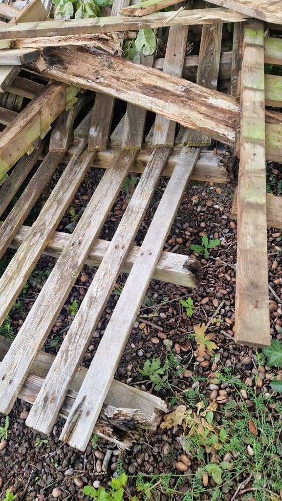Gratis Brandhout Genk, Tuin en Terras, Brandhout, Ophalen