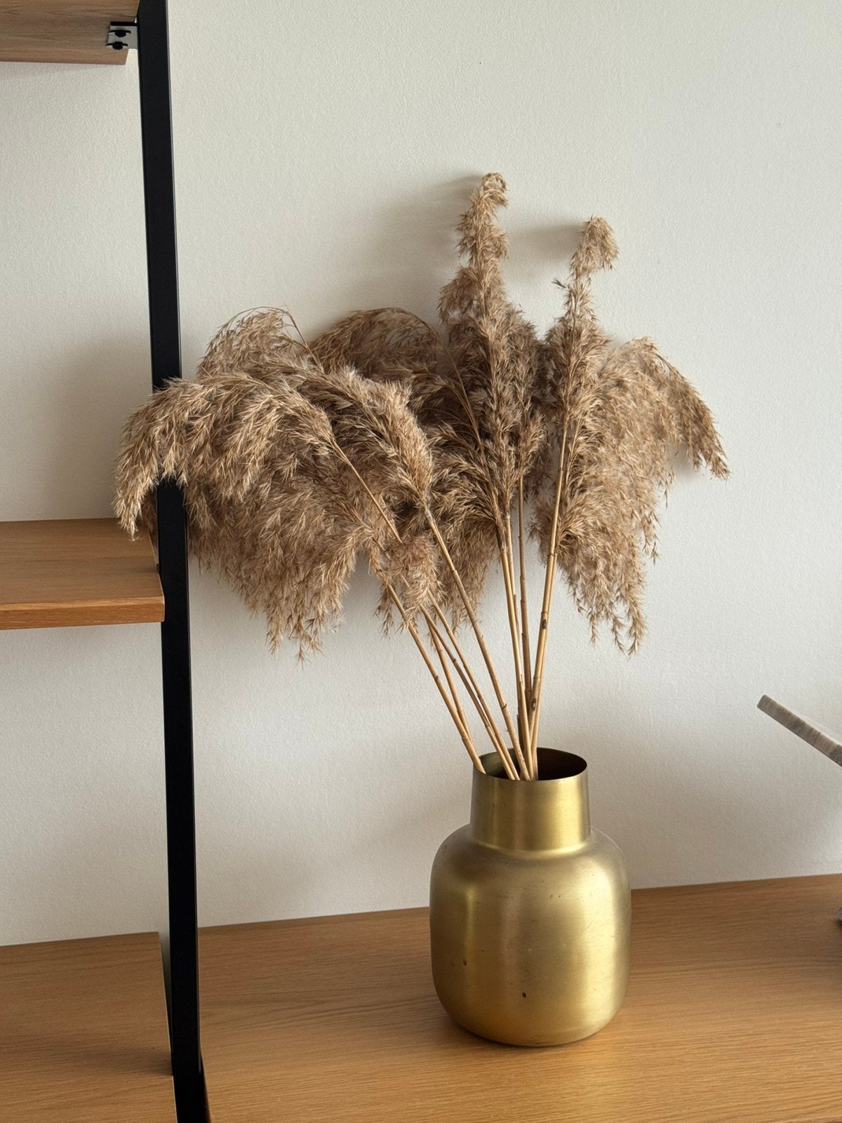 Gedroogde pampas met gouden vaas | boho decoratie, Ophalen, Zo goed als nieuw
