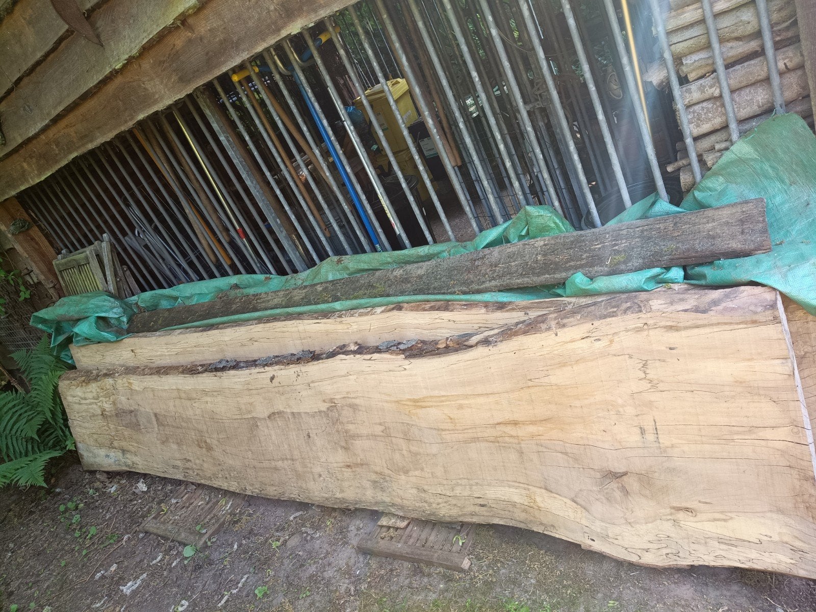 Gezaagde Beuken plank, boomstam, Enlèvement, Planches