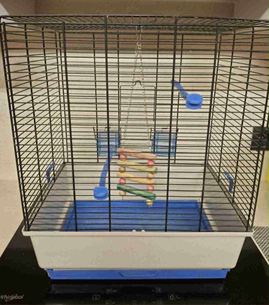 mooie vogelkooi, Enlèvement, Cage à oiseaux