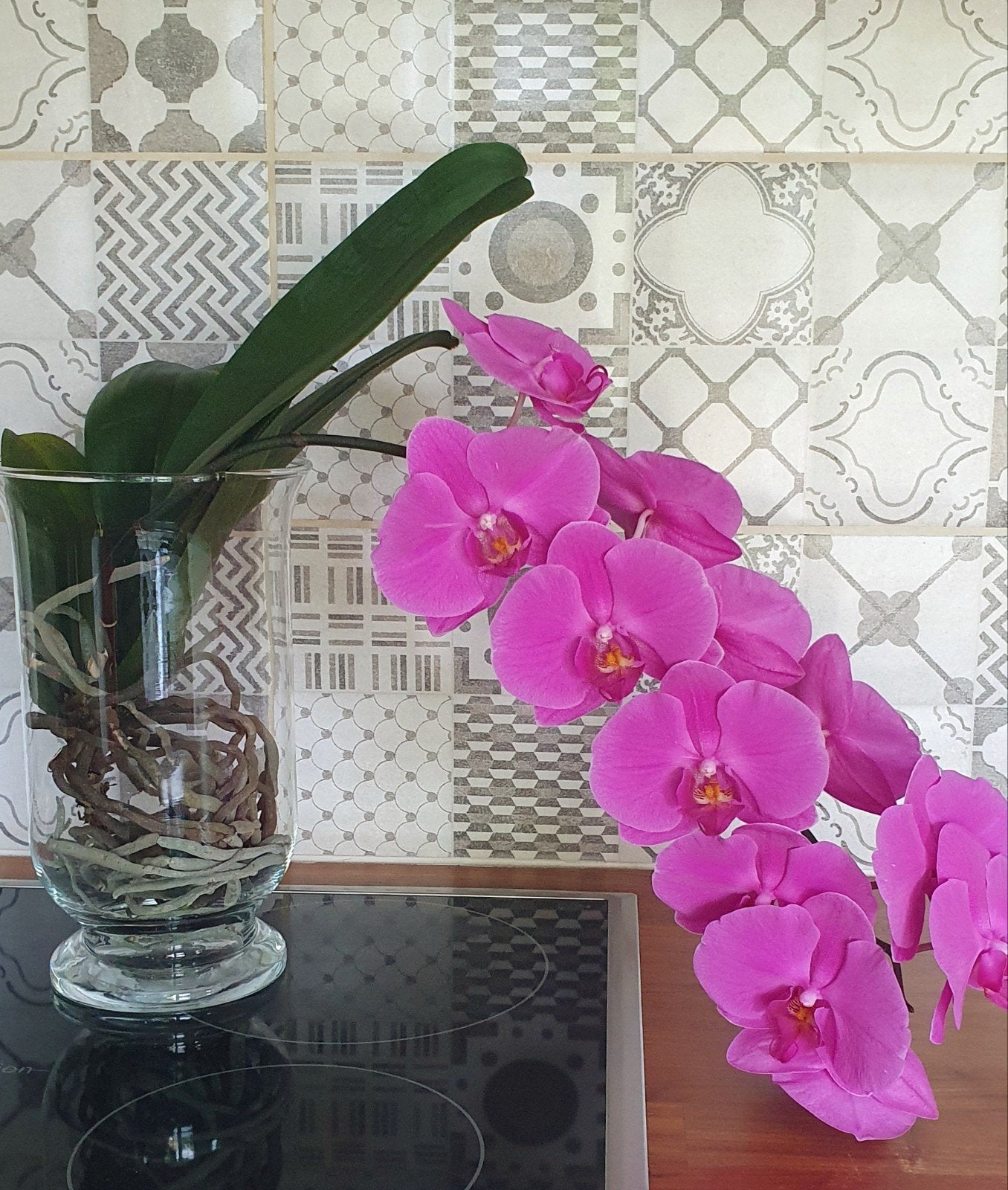 Orchidee op watercultuur met bijpassende glazen vaas H25cm, Ophalen