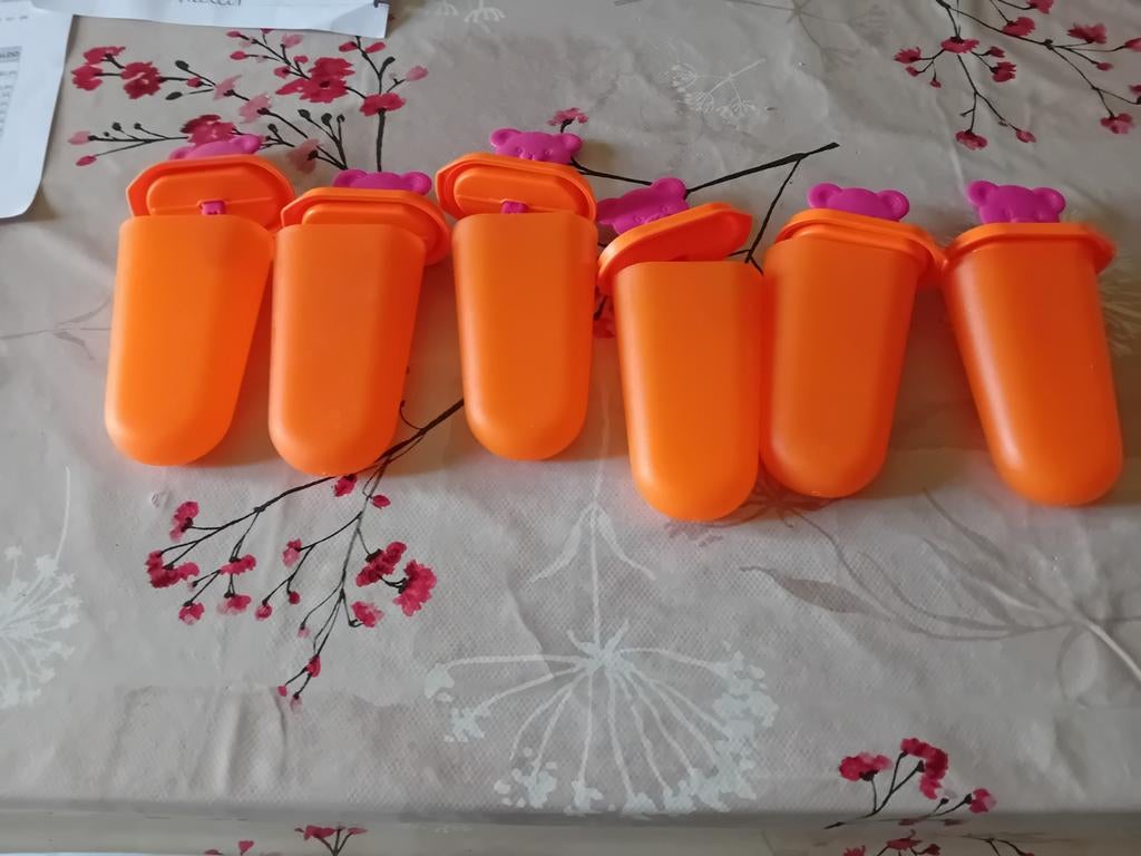 Tuperware om ijsjes te maken, Huis en Inrichting, Ophalen