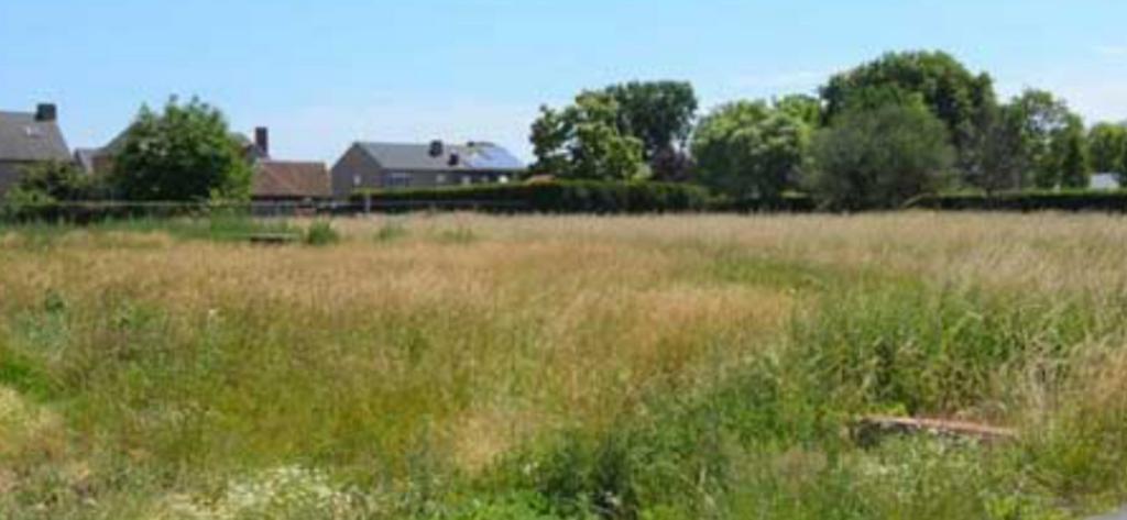 Bougrond project gezocht, Immo
