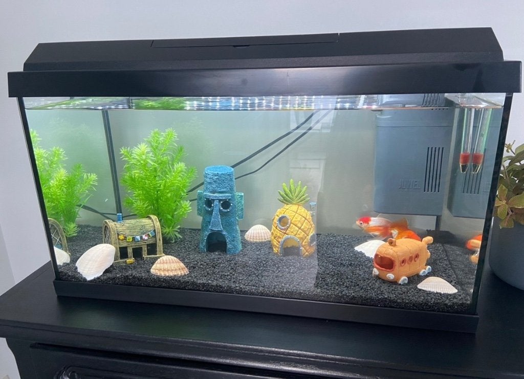 Aquarium, Ophalen, Gebruikt
