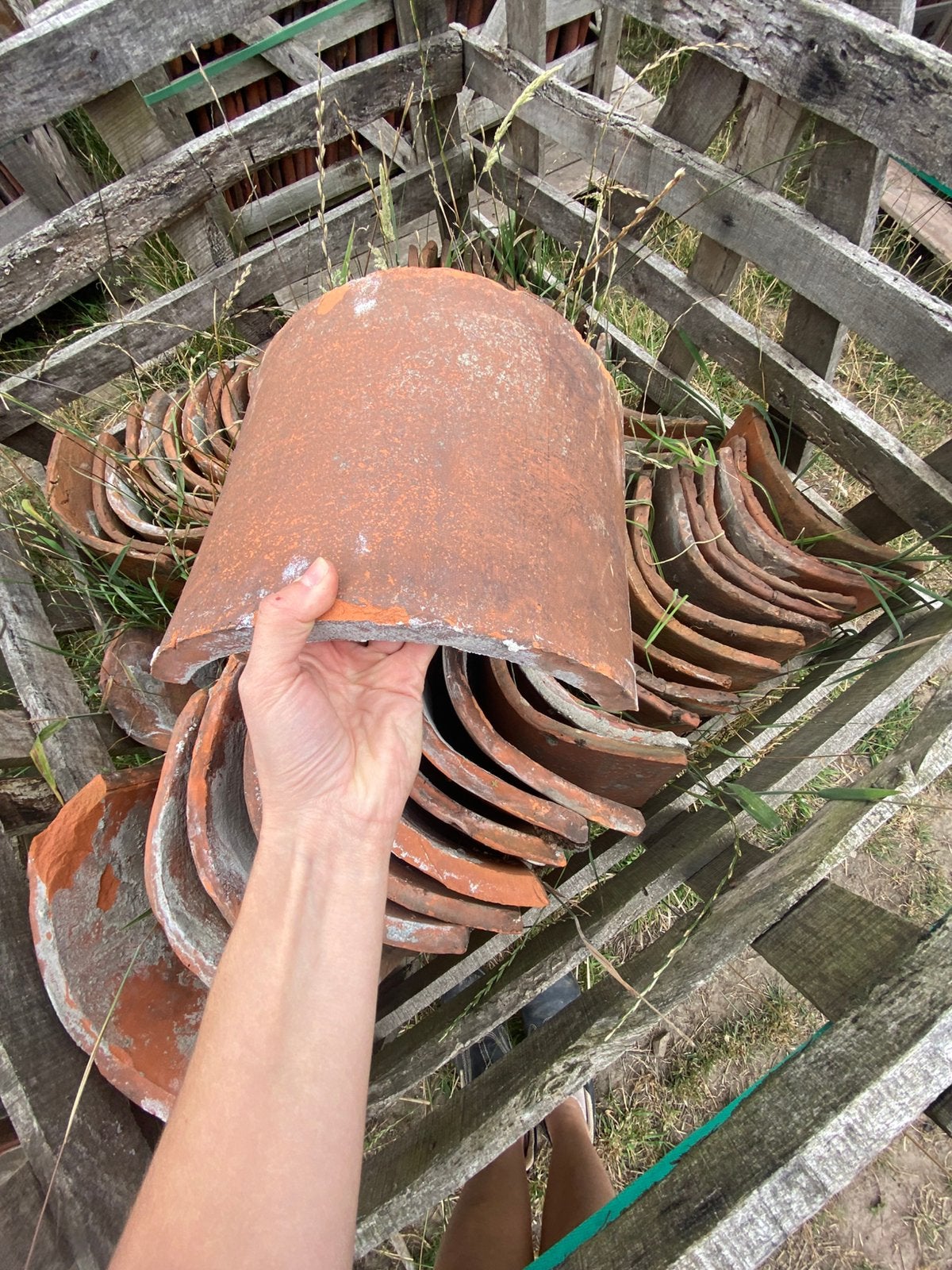Boomse pan nokken, Enlèvement, Utilisé