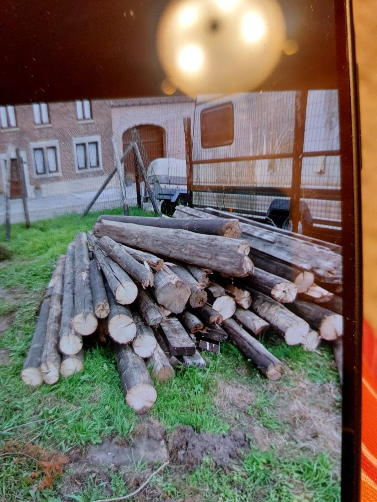 gratis brandhout afhalen, Ophalen, Overige houtsoorten, Blokken
