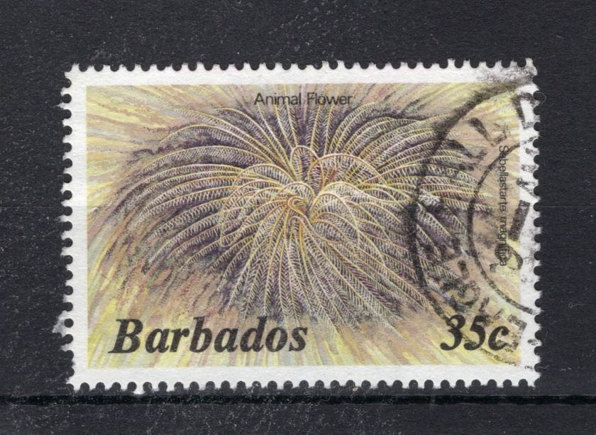 BARBADOS Yt. 615 gestempeld 1985, Verzenden, Gestempeld, Midden-Amerika