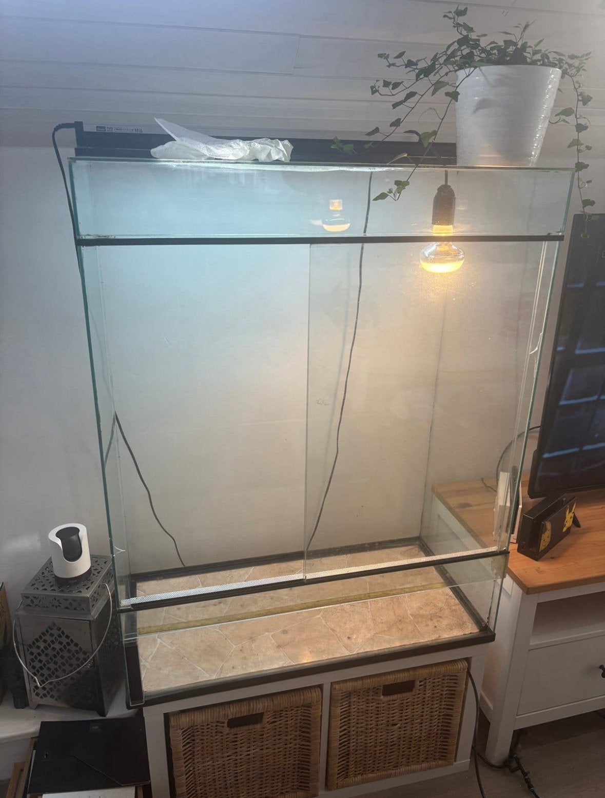 Terarrium en toebehoren, Animaux & Accessoires, Enlèvement, Utilisé