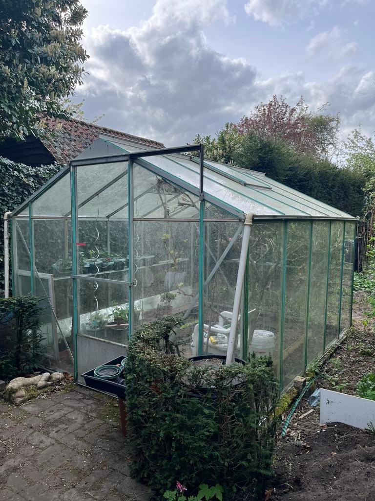 Serre 2m70 x 3m30 - glas / 27/04 om 12 uur stopt verkoop, Tuin en Terras, Kassen, Ophalen, Gebruikt, Kweekkas, Glas