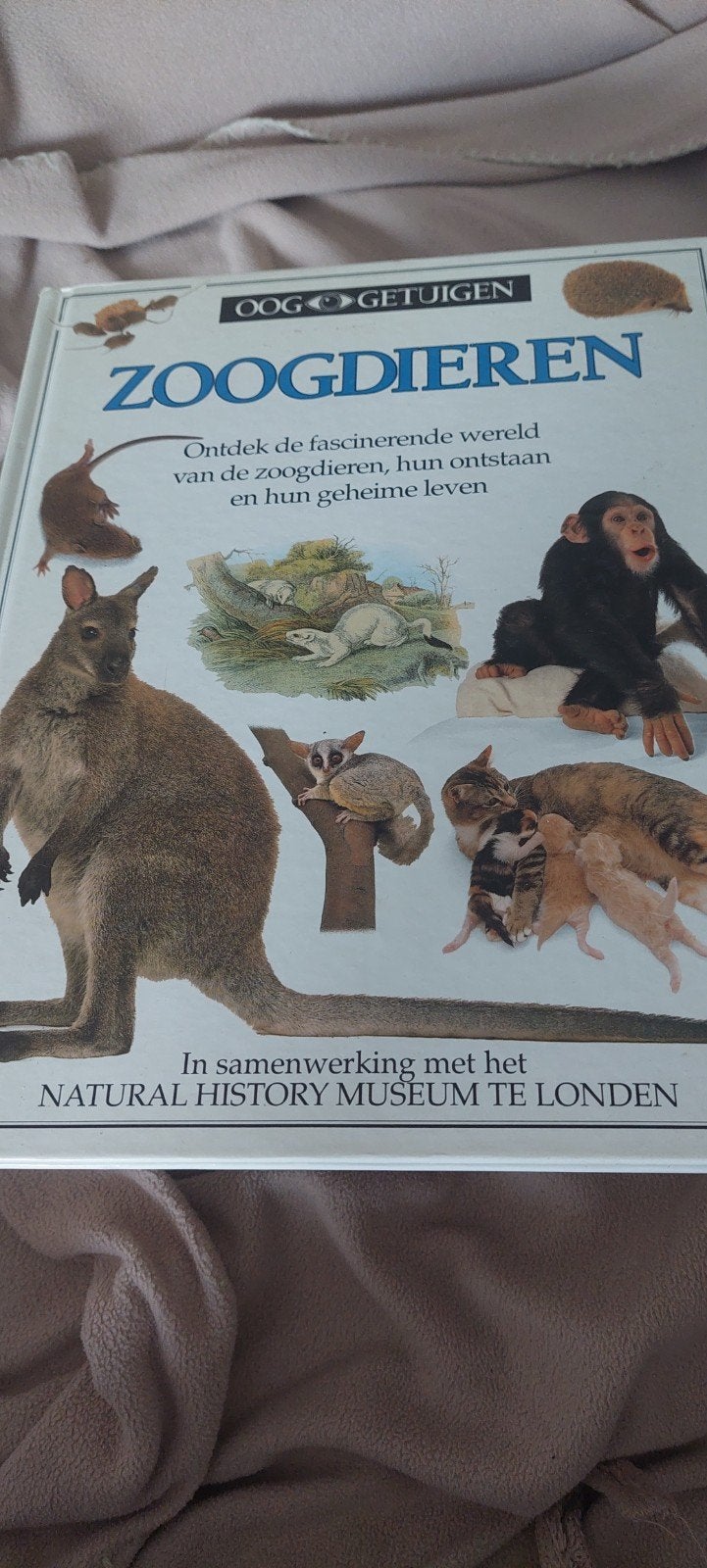 Ooggetuigen   zoogdieren, Ophalen of Verzenden