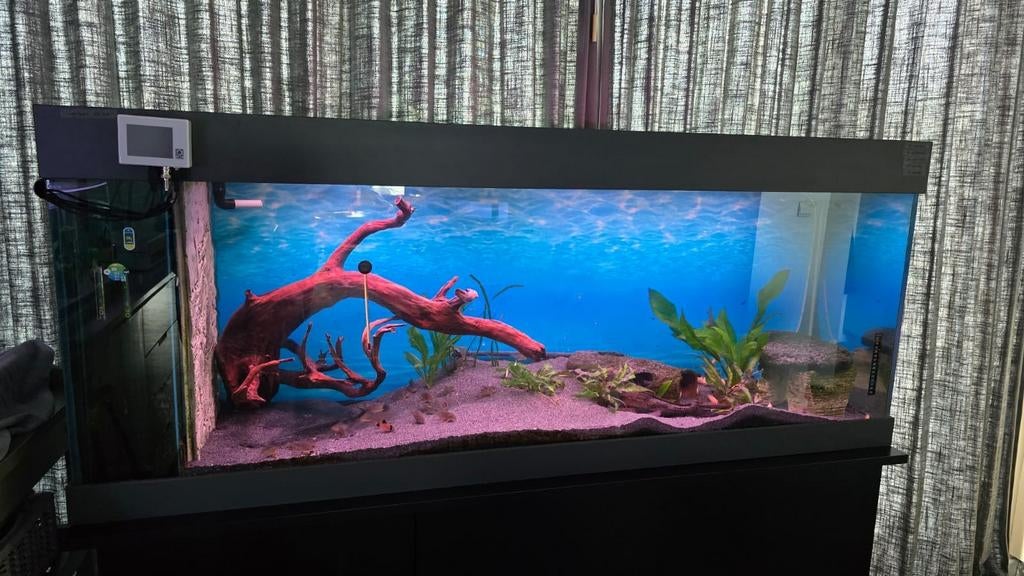 Aquarium 1,5m lang, Audio, Tv en Foto, Foto | Digitale fotokaders, Ophalen