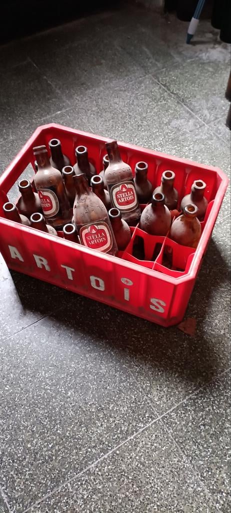Oude bier bak Stella Artois met 20 lege flesjes, Enlèvement, Bouteille(s), Stella Artois
