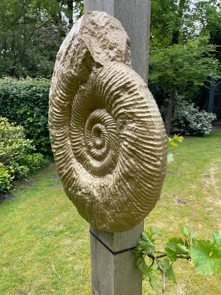 Coquille dorée, salon, chambre à coucher, intérieur 30cm, Enlèvement, Neuf, Synthétique, Animal