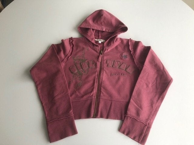 Vestje met rits en capuchon maat 146 / 152., Enfants & Bébés, Vêtements enfant | Taille 146, Enlèvement ou Envoi, Pull ou Veste