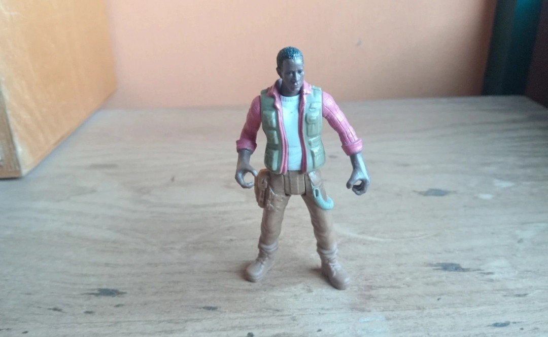 Chap mei dino valley figuur, Envoi, Utilisé