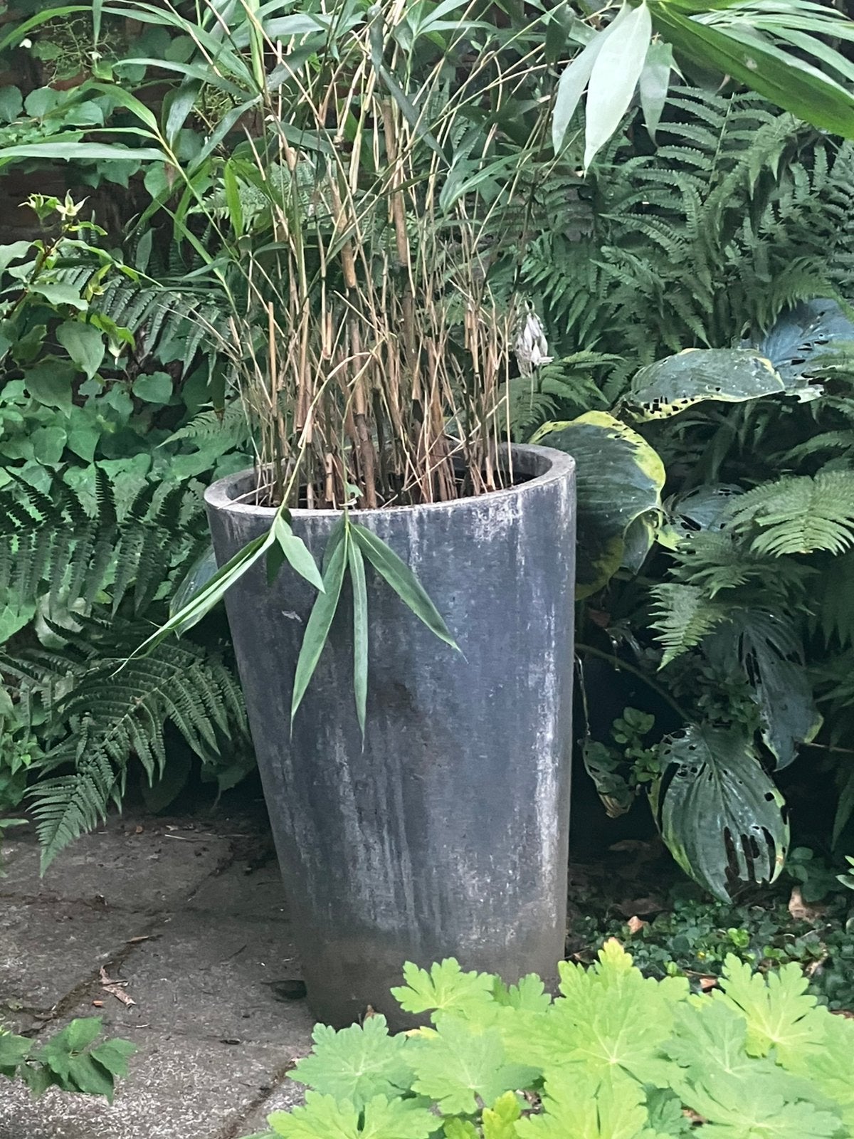 2 stenen tuinpotten gratis ophalen, Ophalen, Steen, Gebruikt, Minder dan 60 cm