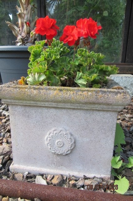 Boîte à fleurs, Jardin & Terrasse, Moins de 30 cm, Pierre, Carré, Enlèvement