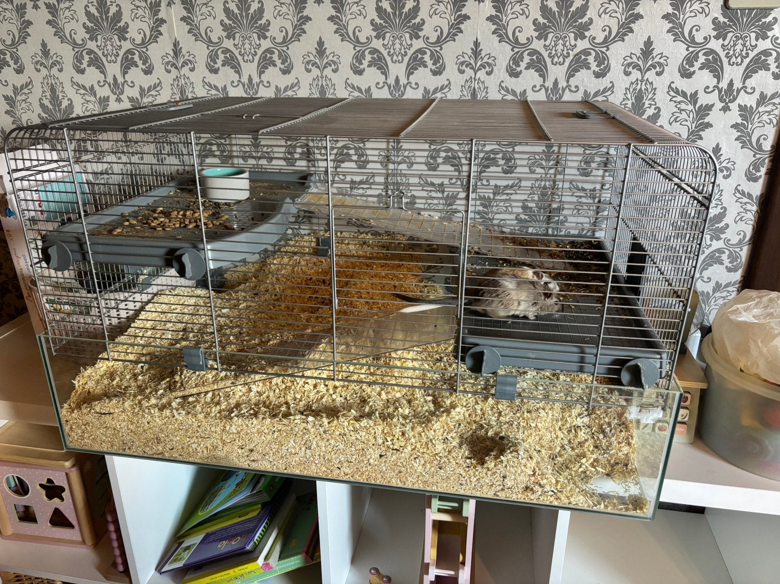 Gerbil en kooi, Ophalen, Zo goed als nieuw, Kooi