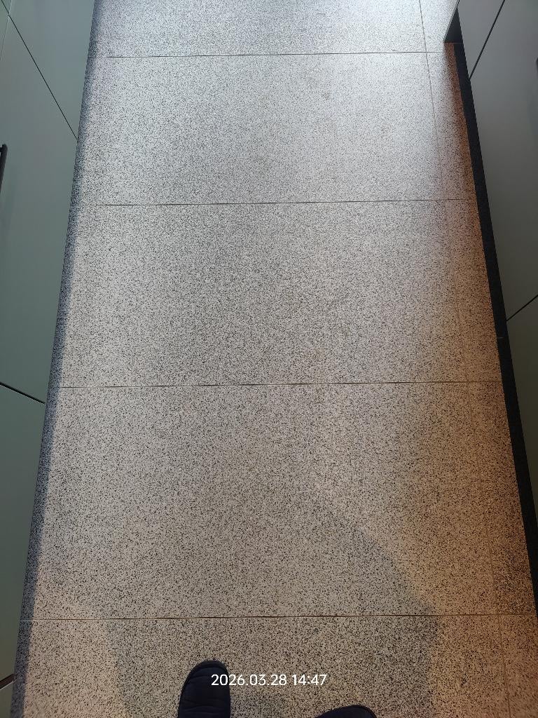 Carreaux Terazzo 120x60cm  (7.2m2 totaal), 60 cm ou plus, Céramique, Enlèvement, 5 à 10 m²