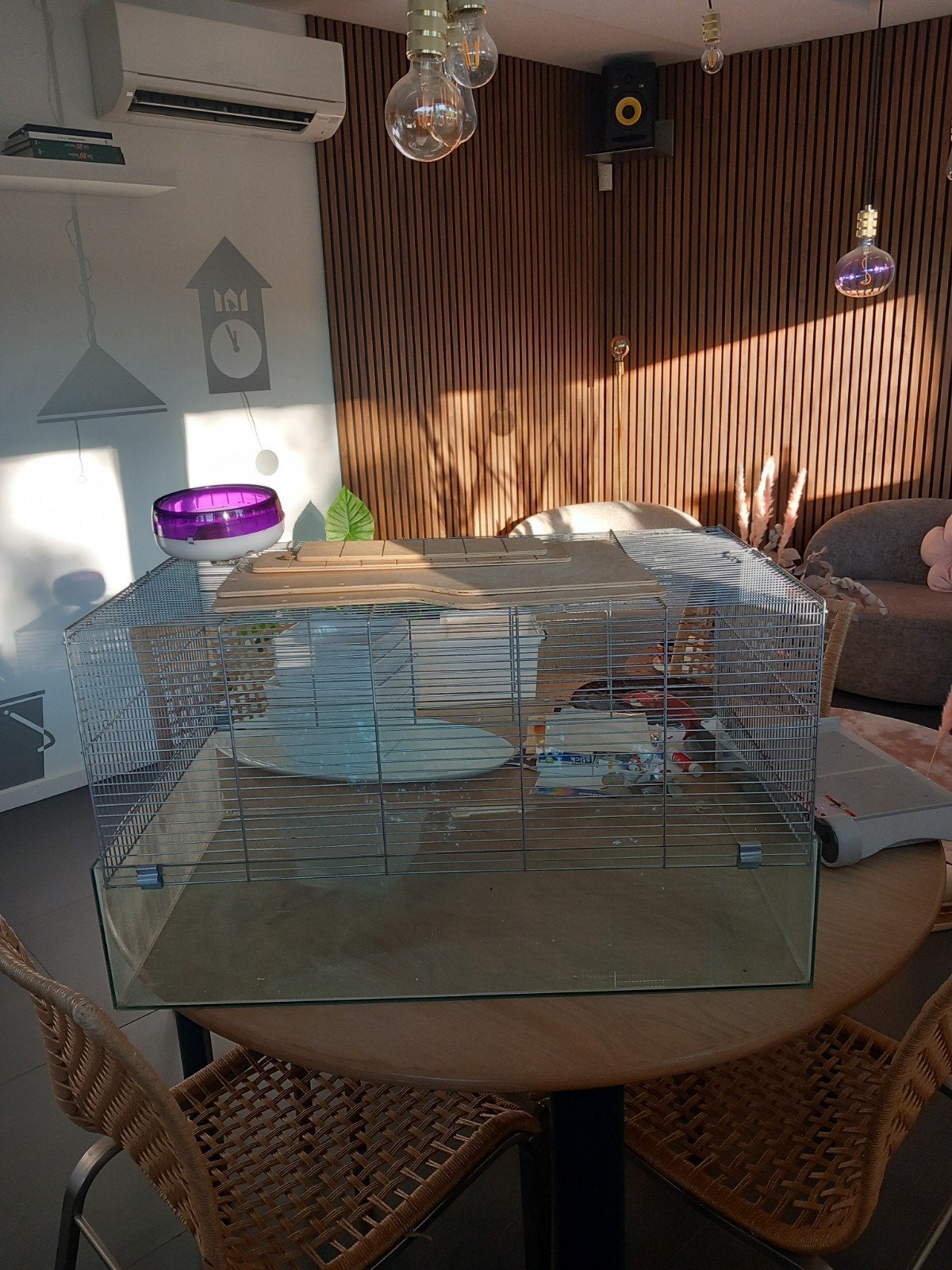 Hamsterkooi, Dieren en Toebehoren, Ophalen