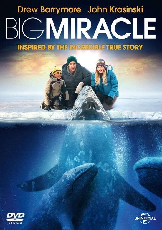 Dvd - Big Miracle (nieuw), Cd's en Dvd's, Dvd's | Avontuur, Nieuw in verpakking, Alle leeftijden, Verzenden