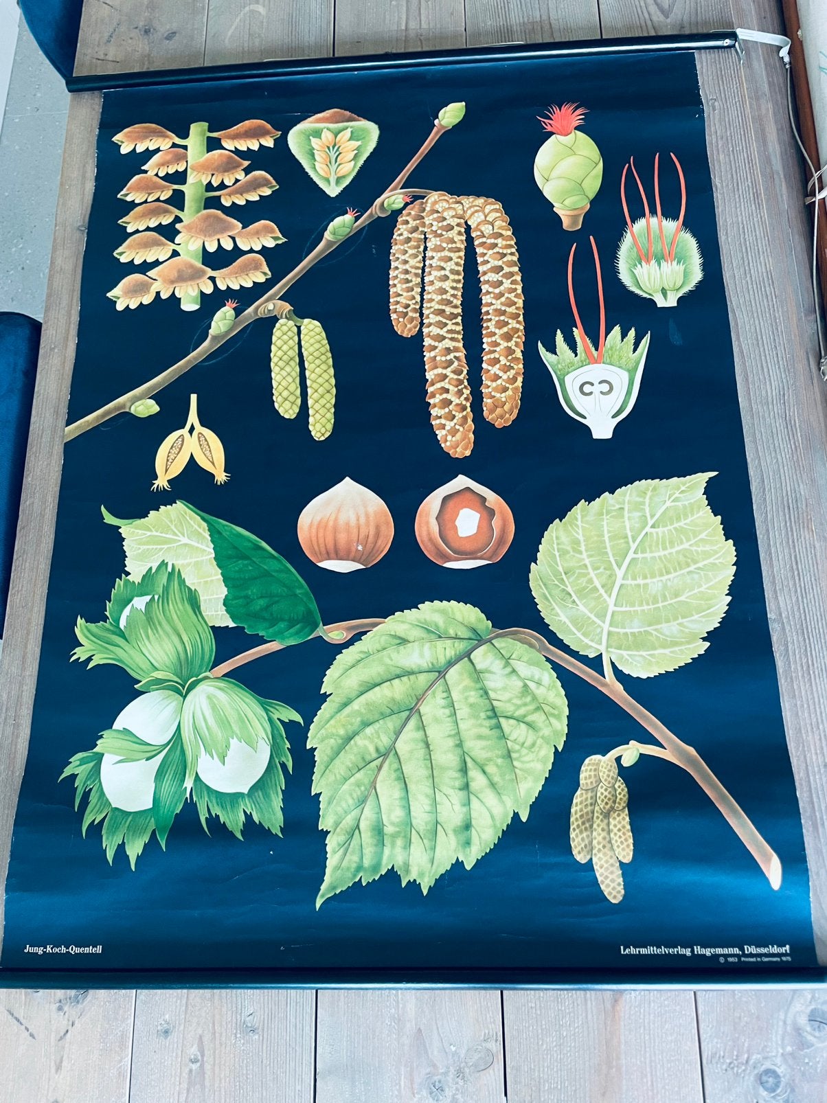 Twee posters (educatief), Ophalen