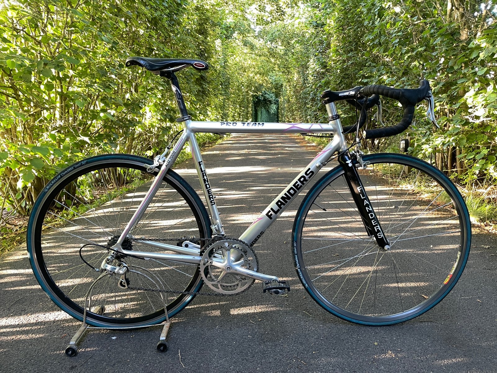 Flanders Pro Team ALU 7005, Vélos & Vélomoteurs, Enlèvement