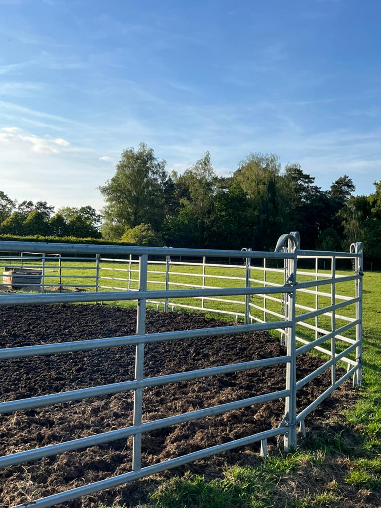 Roundpen / Metalen panels, Dieren en Toebehoren, Stalling en Weidegang