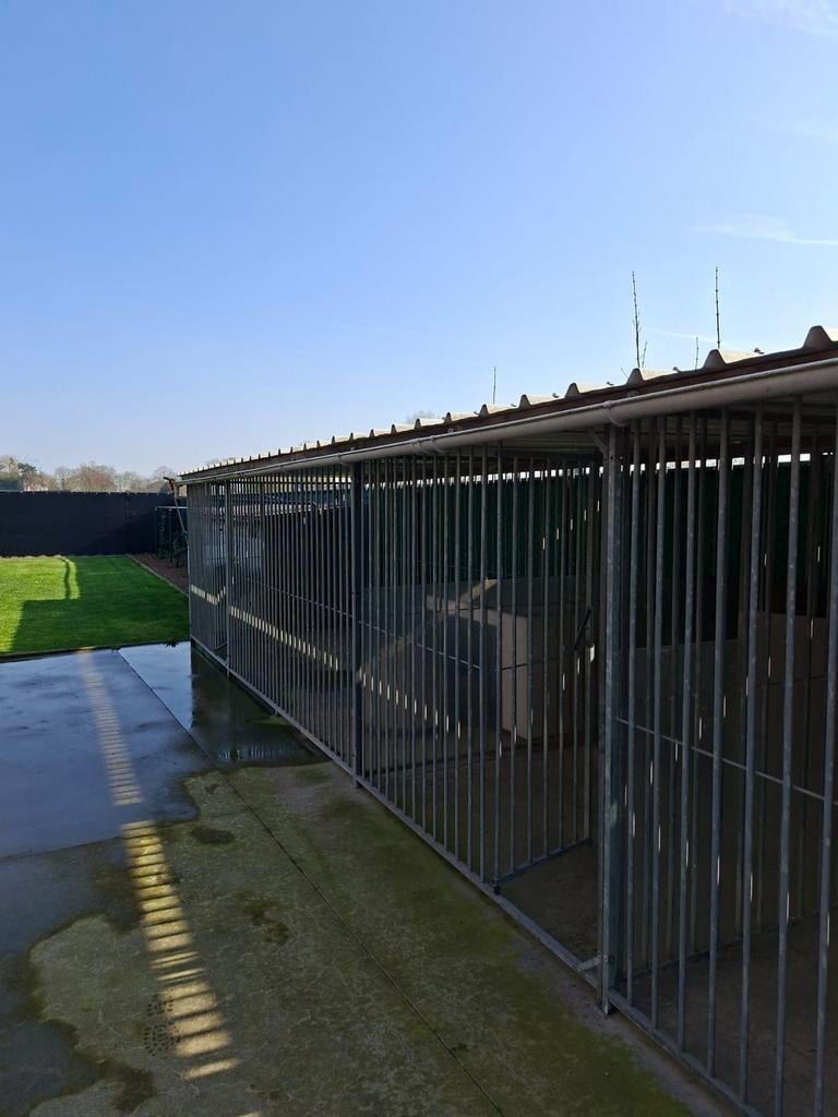 Hondenkennel, Ophalen