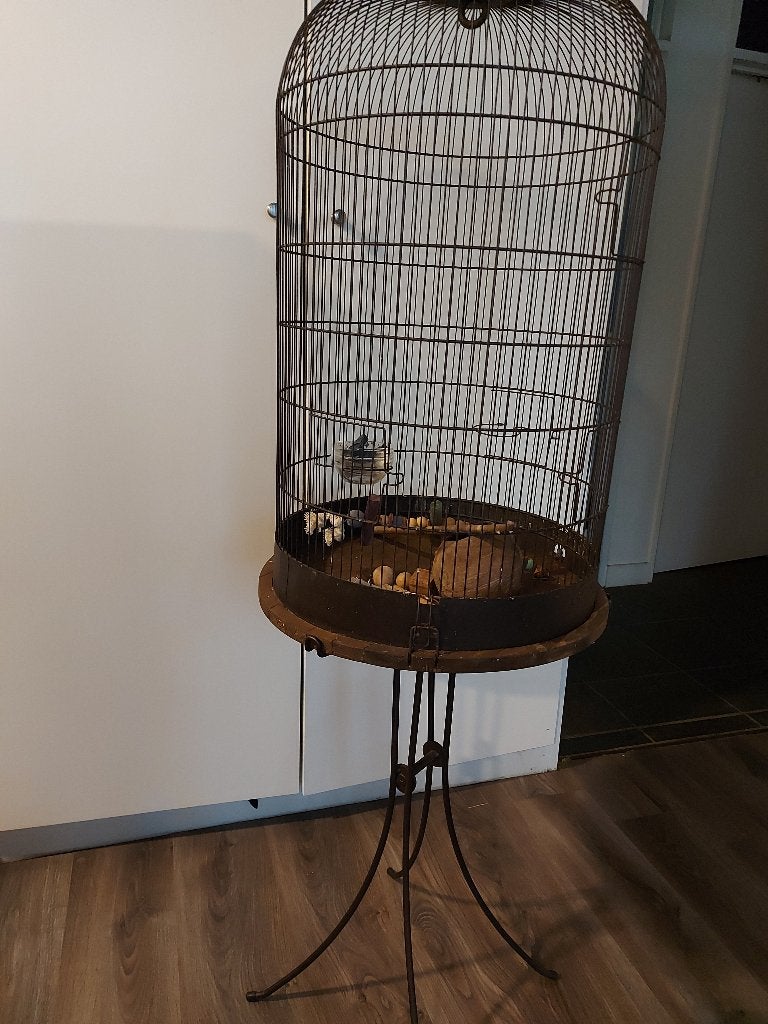 Vogelkooi, Ophalen, Gebruikt, Metaal, Vogelkooi