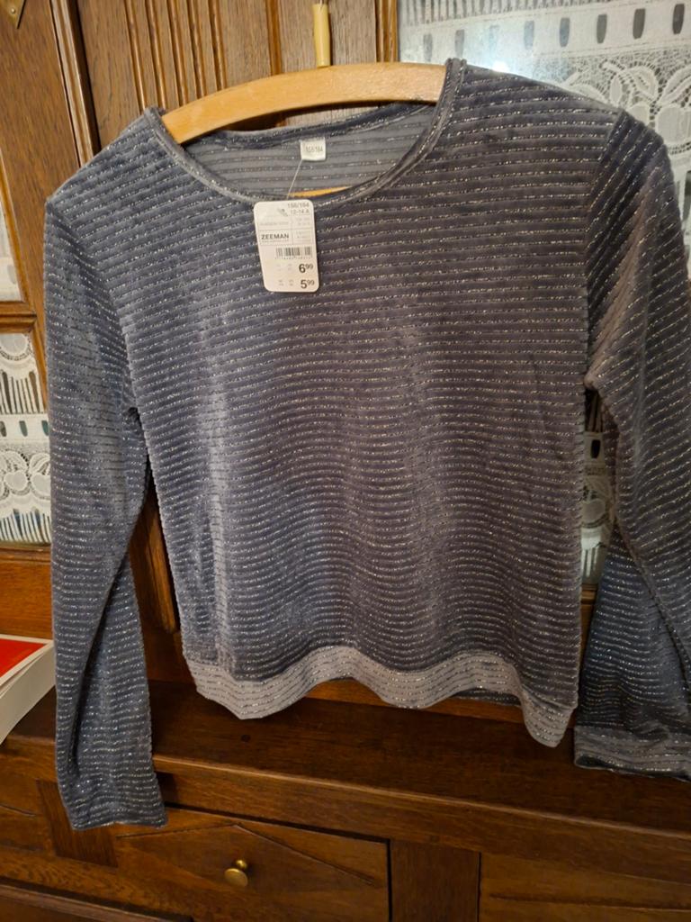 Sweat-shirt fille.Taille 13-14 ans. Gris pailleté. Neuf., Kinderen en Baby's, Kinderkleding | Maat 158, Ophalen of Verzenden, Meisje