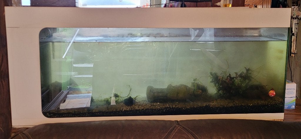 Aquarium à vendre, Enlèvement, Utilisé